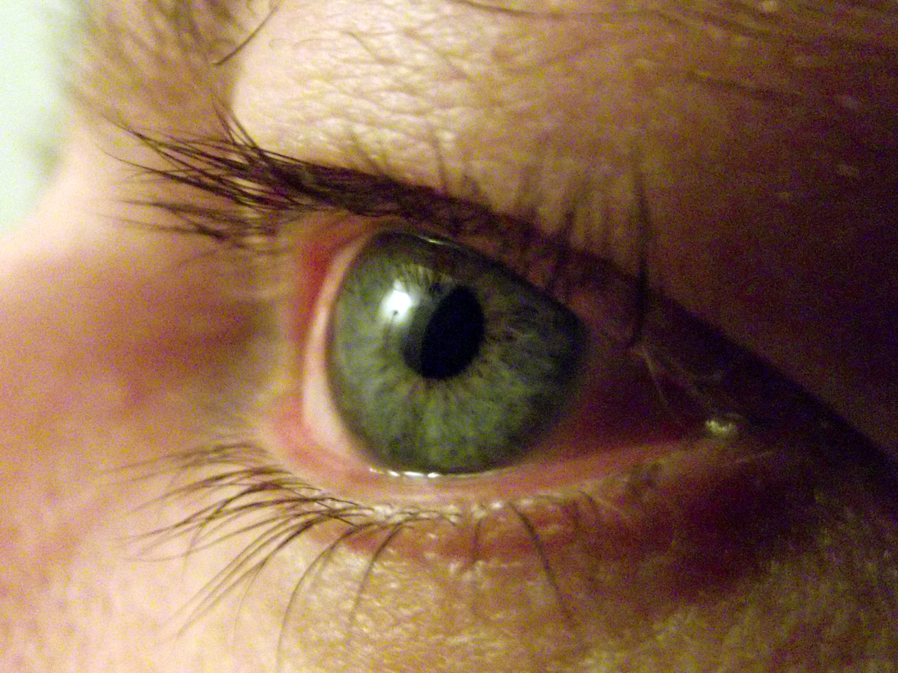 man eyeball green free photo