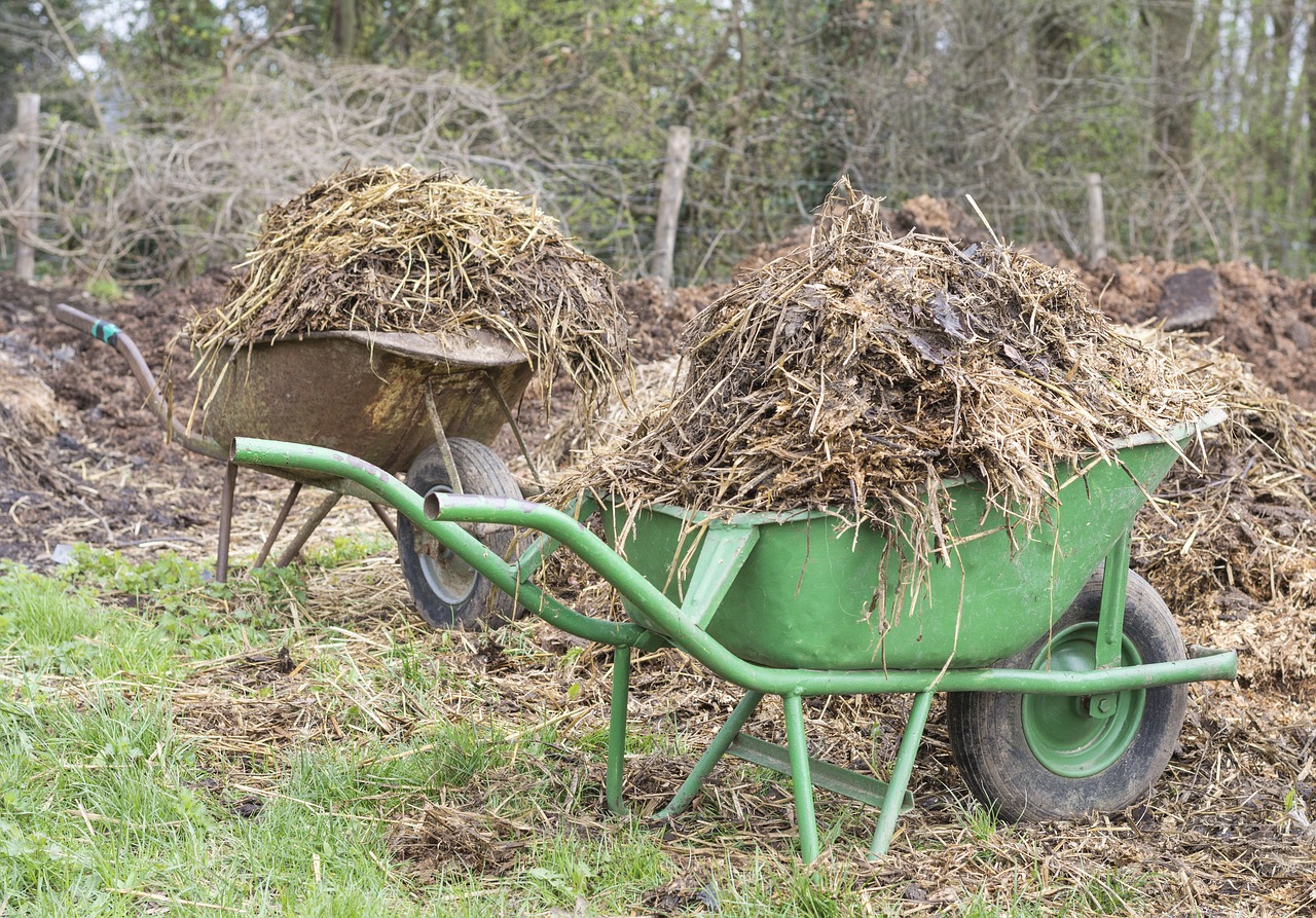 manure wheelbarrow wheelbarrows free photo