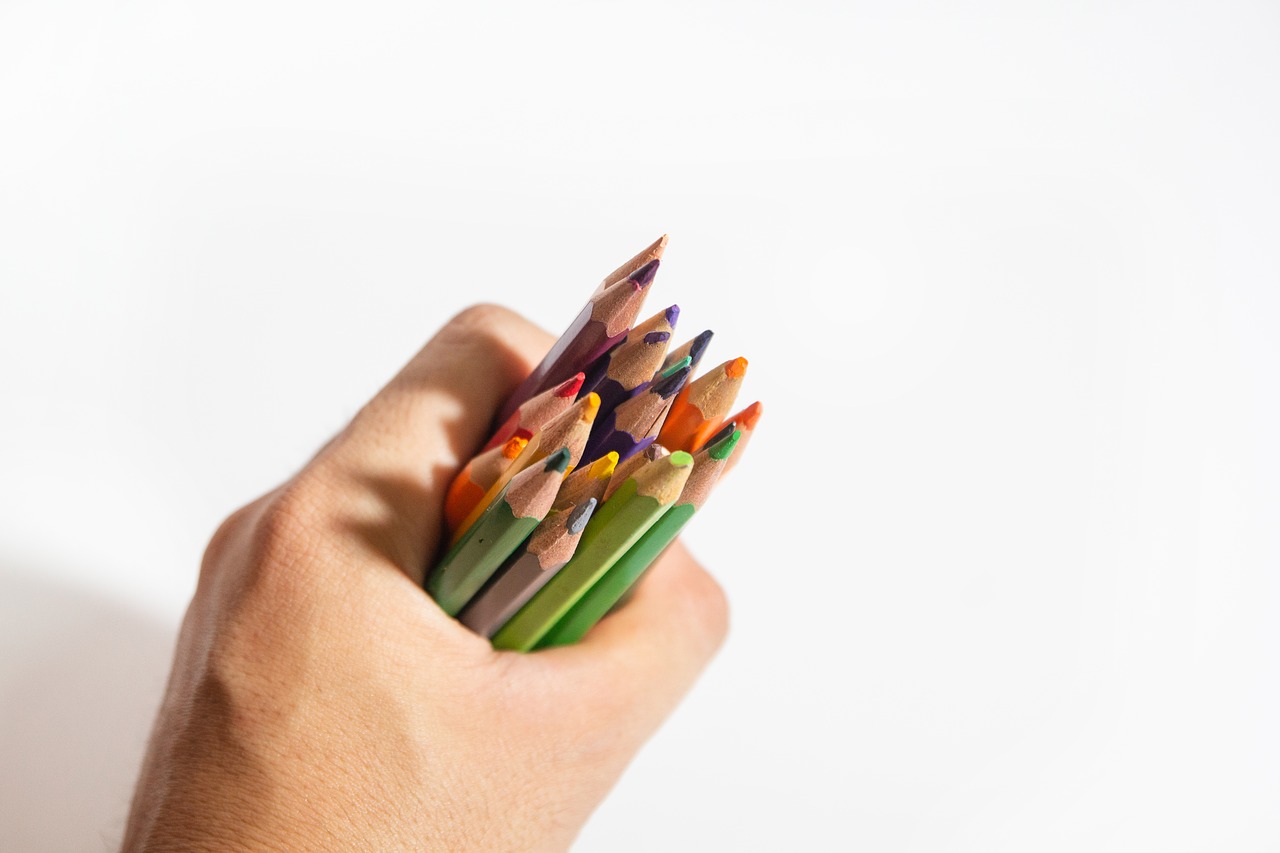 many colors  pencils  color free photo