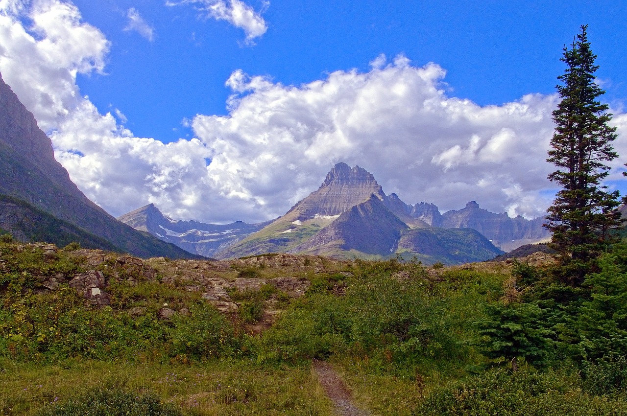 many glaciers area  mountains  park free photo