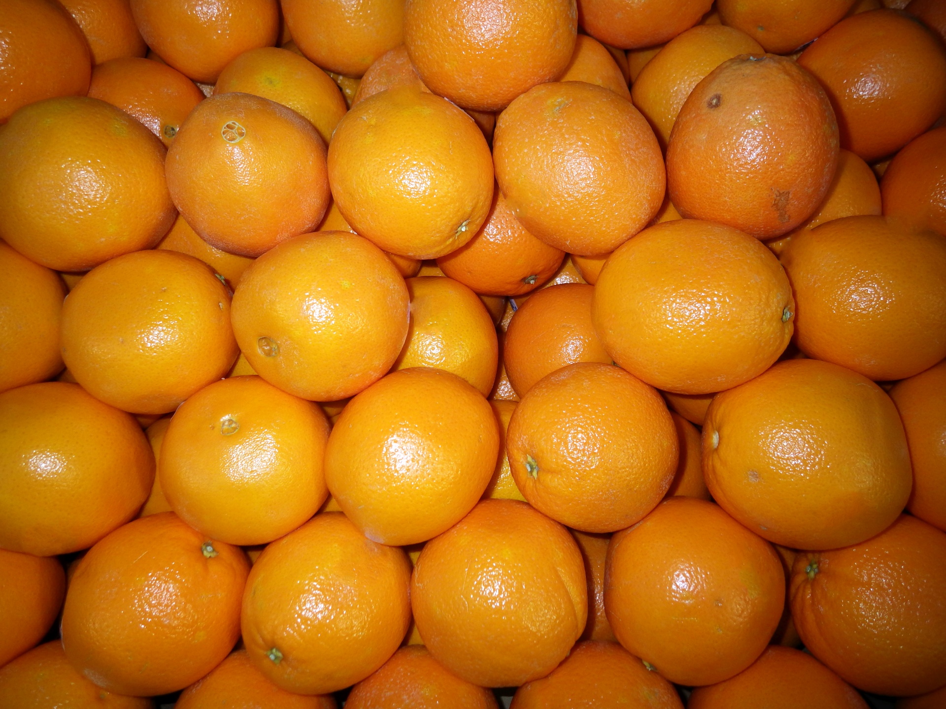 background oranges fruits free photo