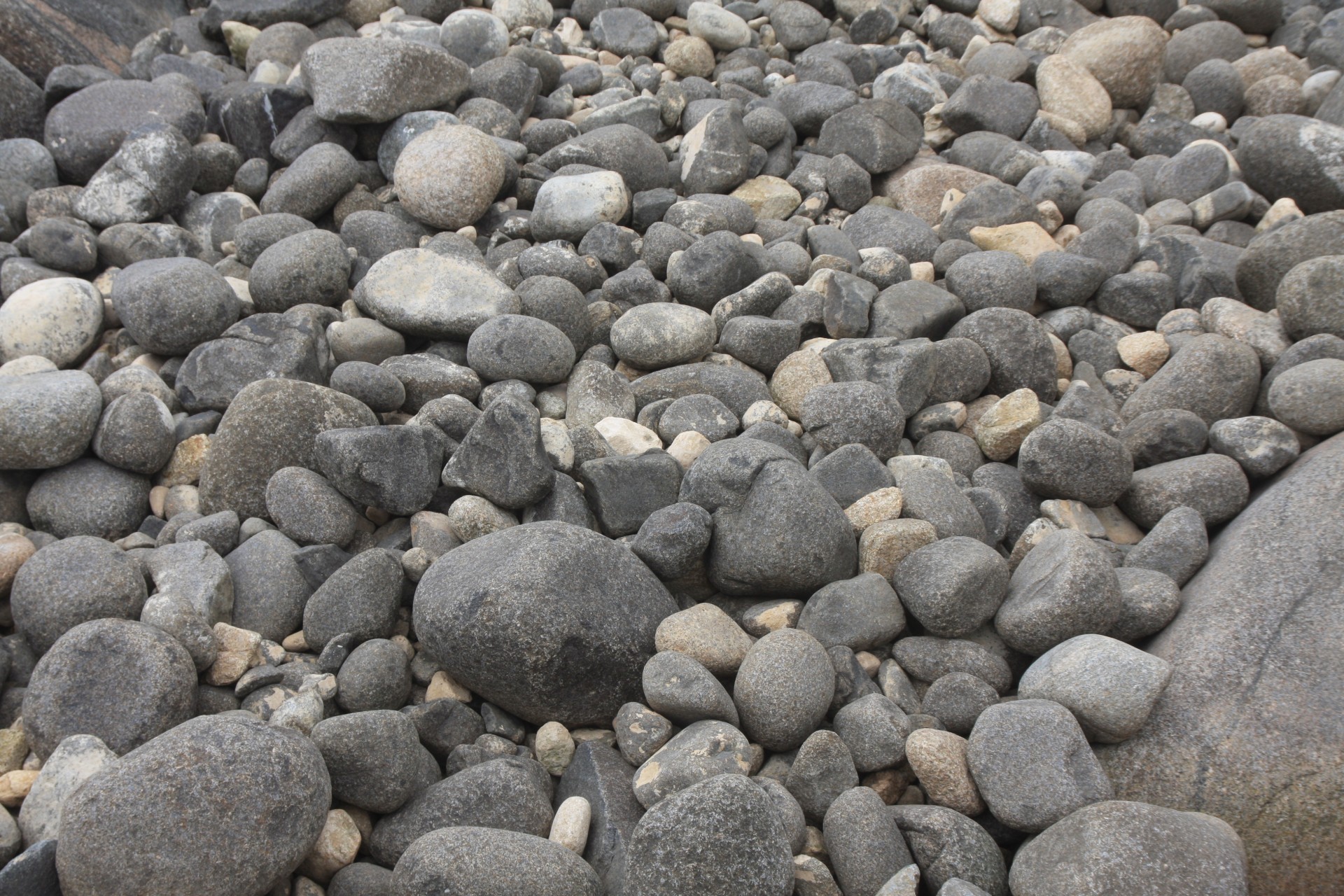 rocks round many rocks free photo