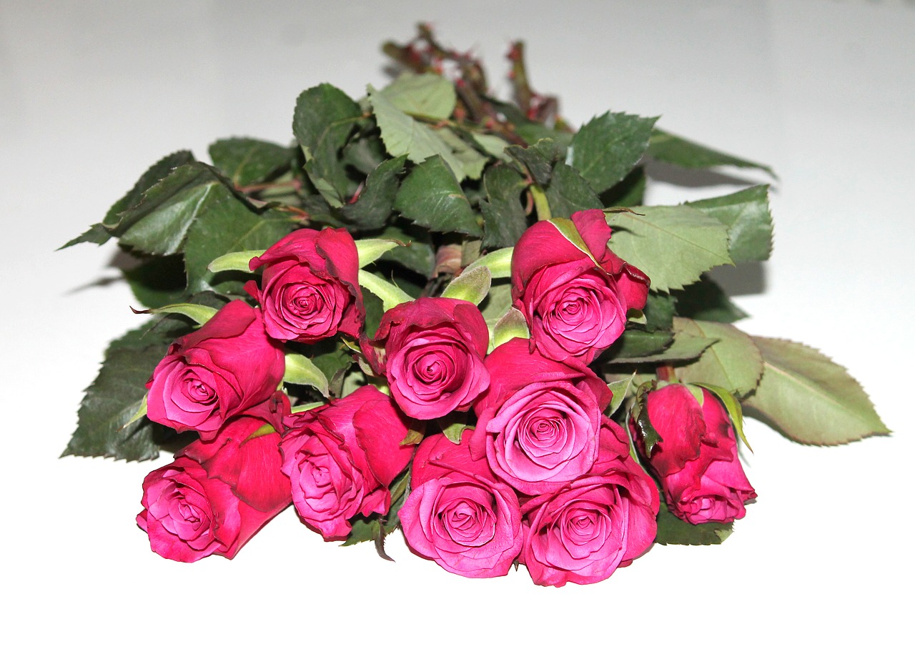 many roses roses bouquet free photo