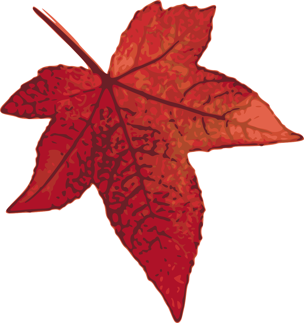 maple leaf autumn free photo