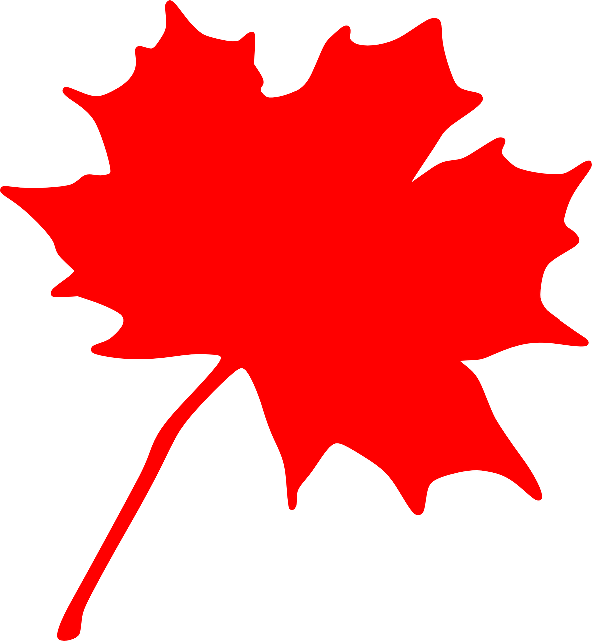 maple red leaf free photo