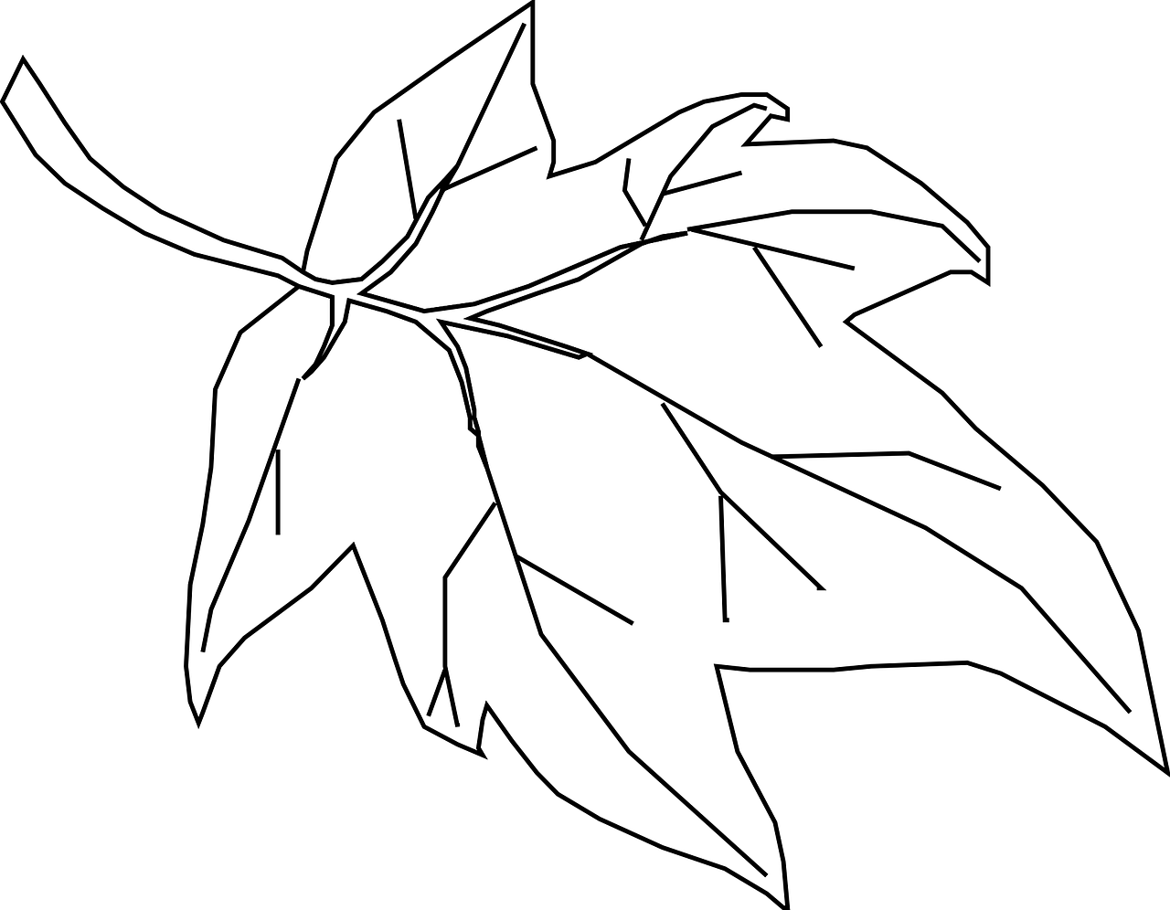 maple leaf outline free photo