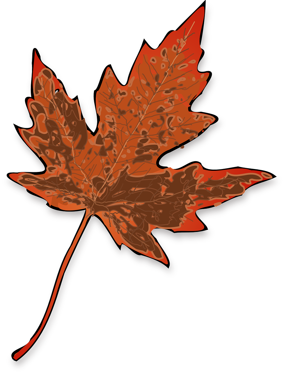 maple leaf fall free photo