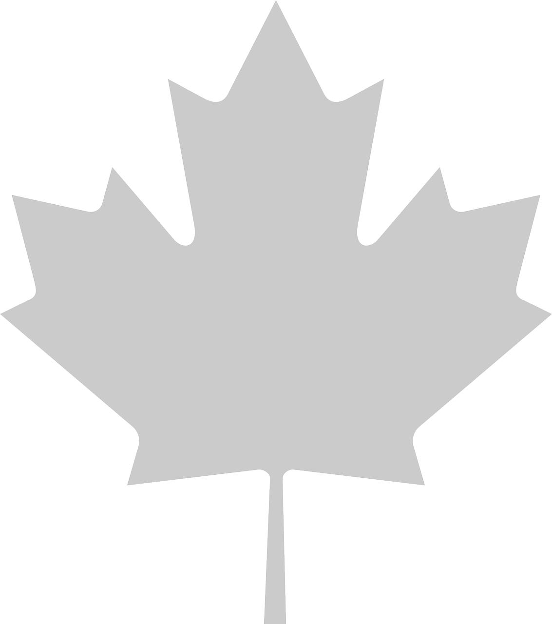 maple leaf canada free photo