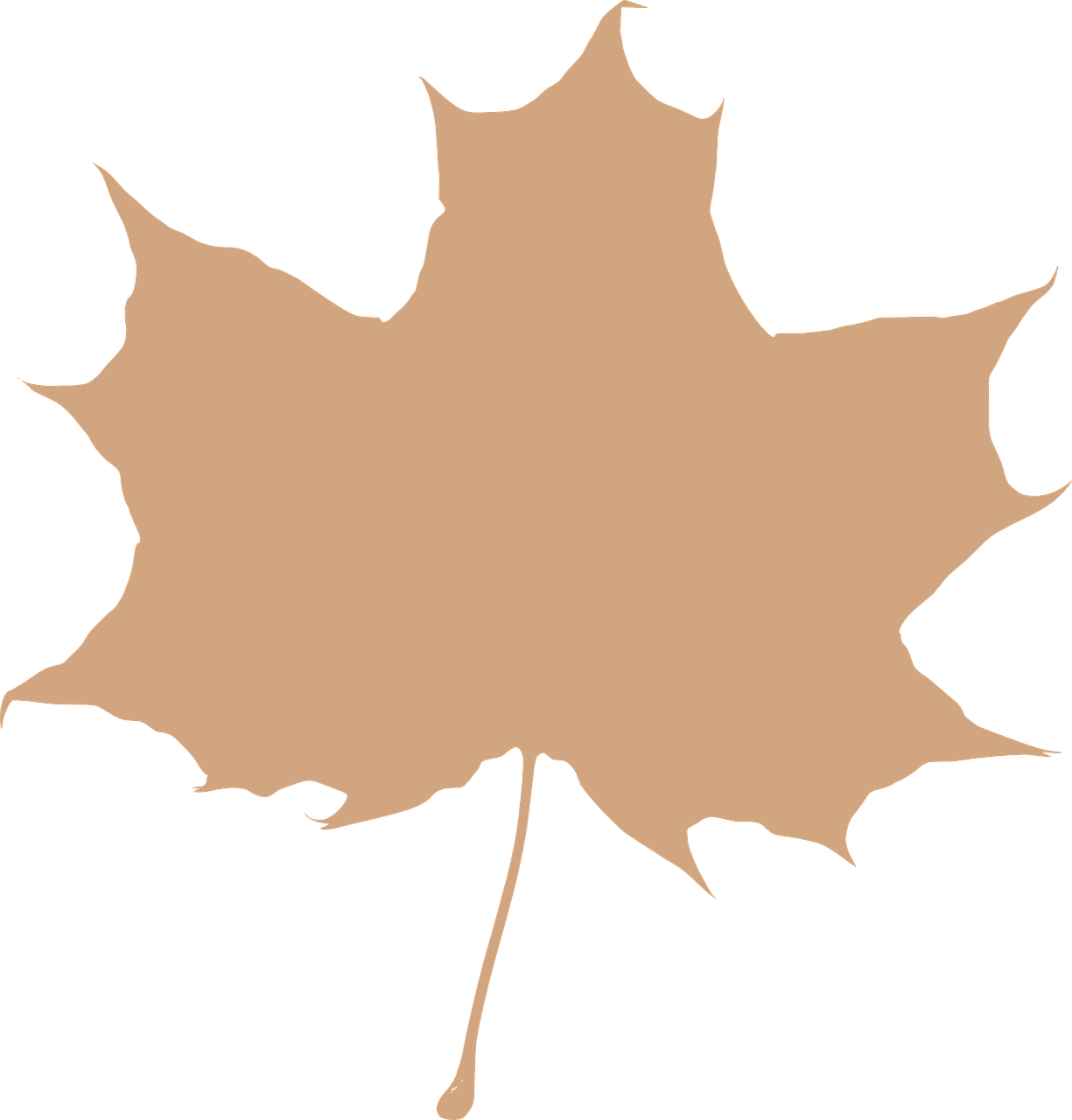 maple leaf beige silhouette free photo