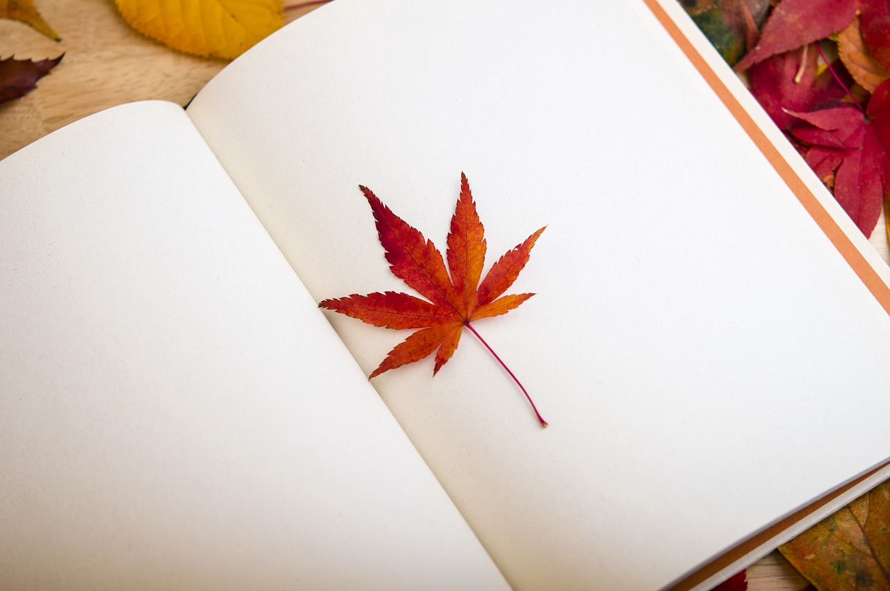 maple leaf book reading free photo
