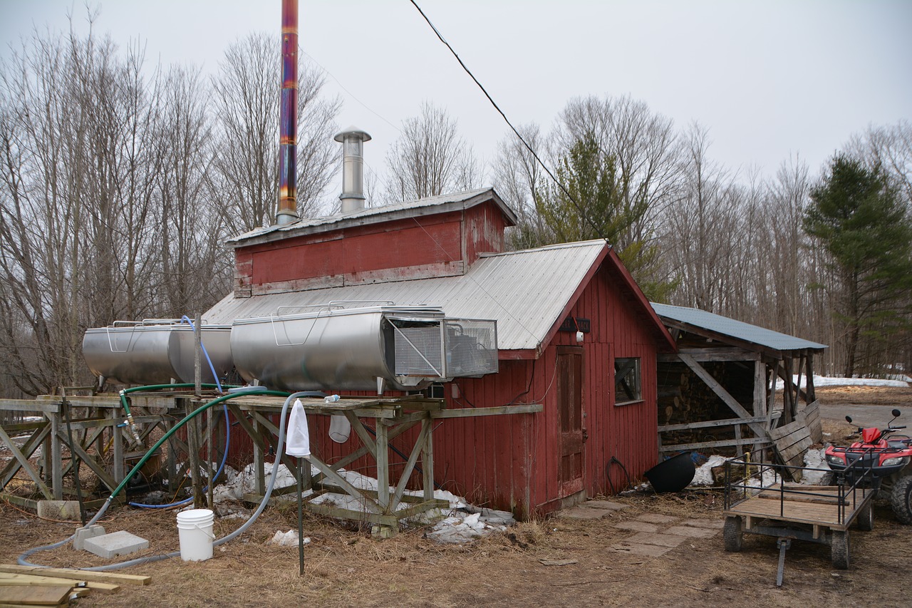 maple sugar shed canada free photo