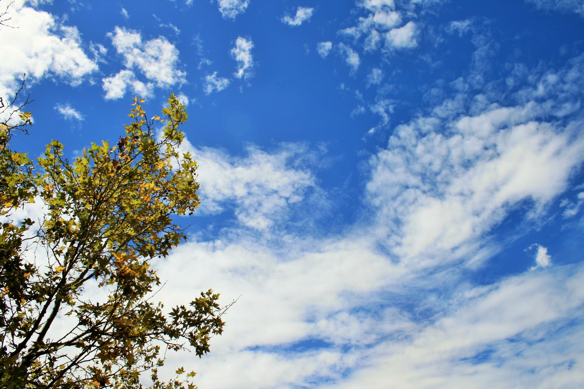 sky blue clouds free photo