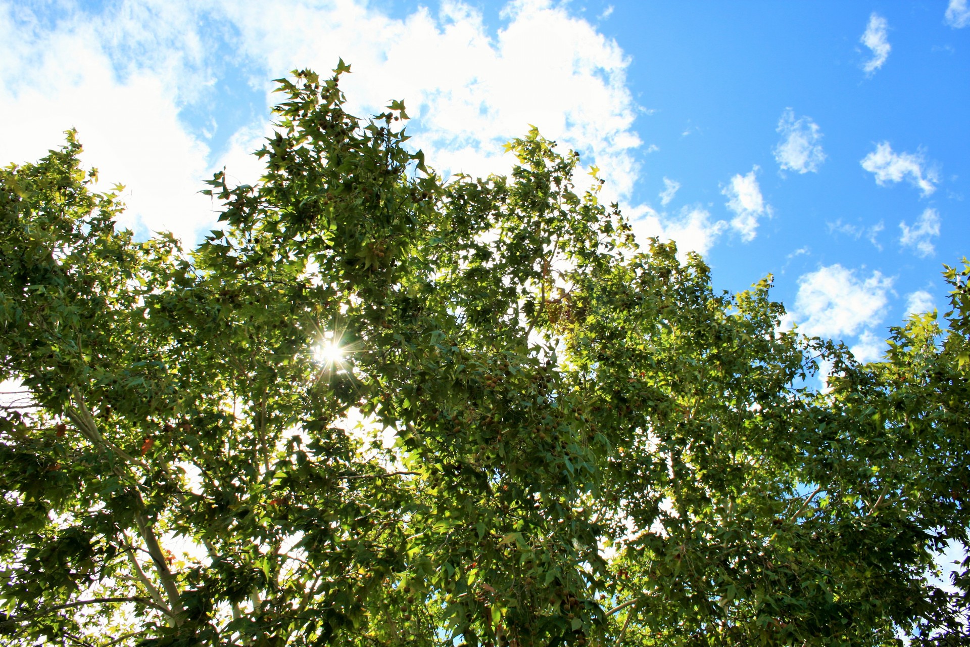 sky blue clouds free photo