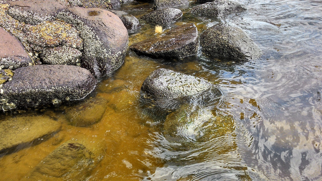 mar nature stones free photo