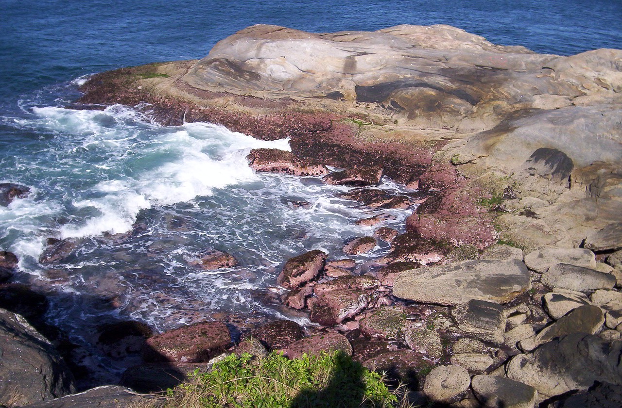 mar stone rocks free photo