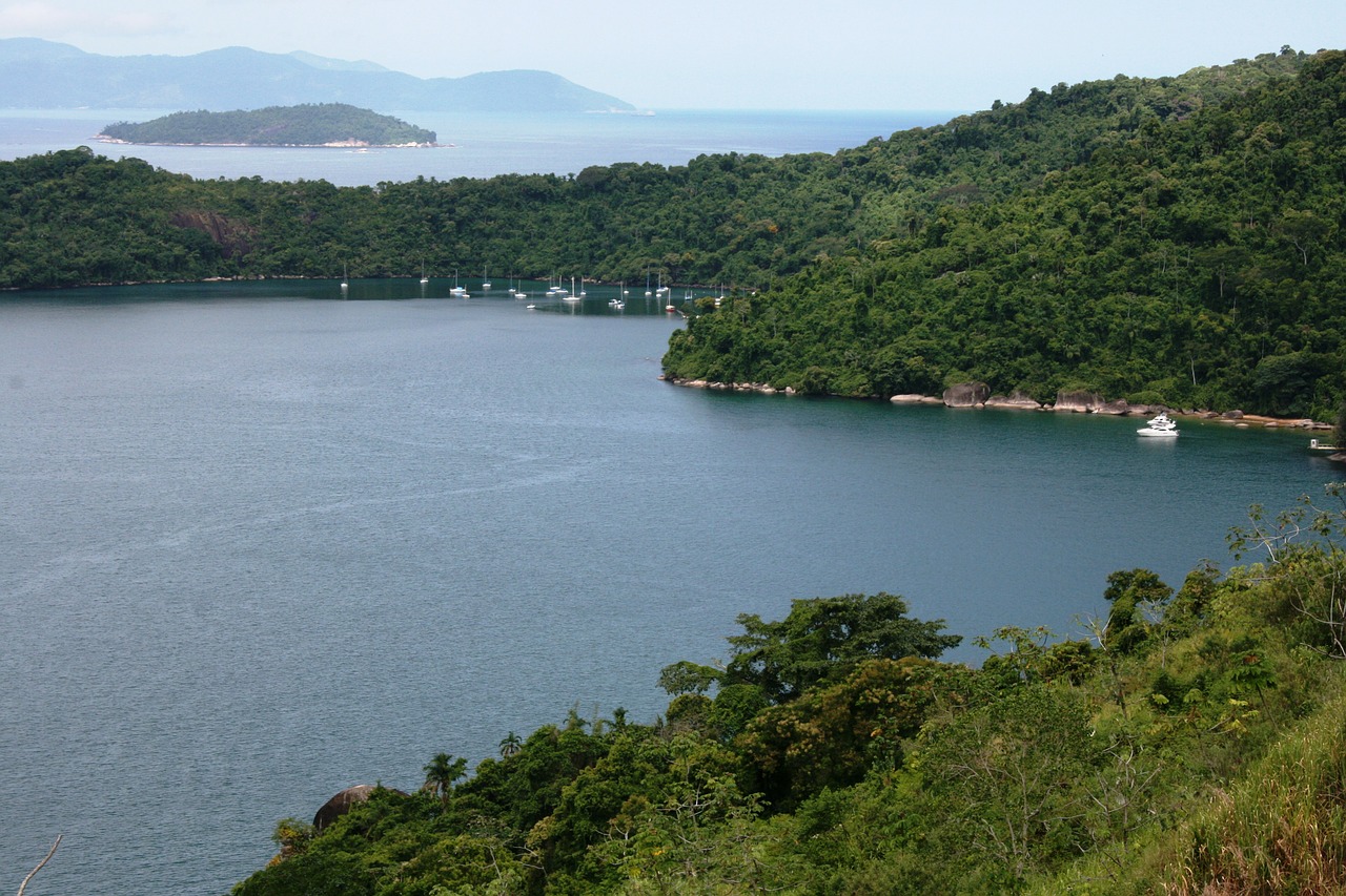 mar tropical vegetation atlantic forest free photo