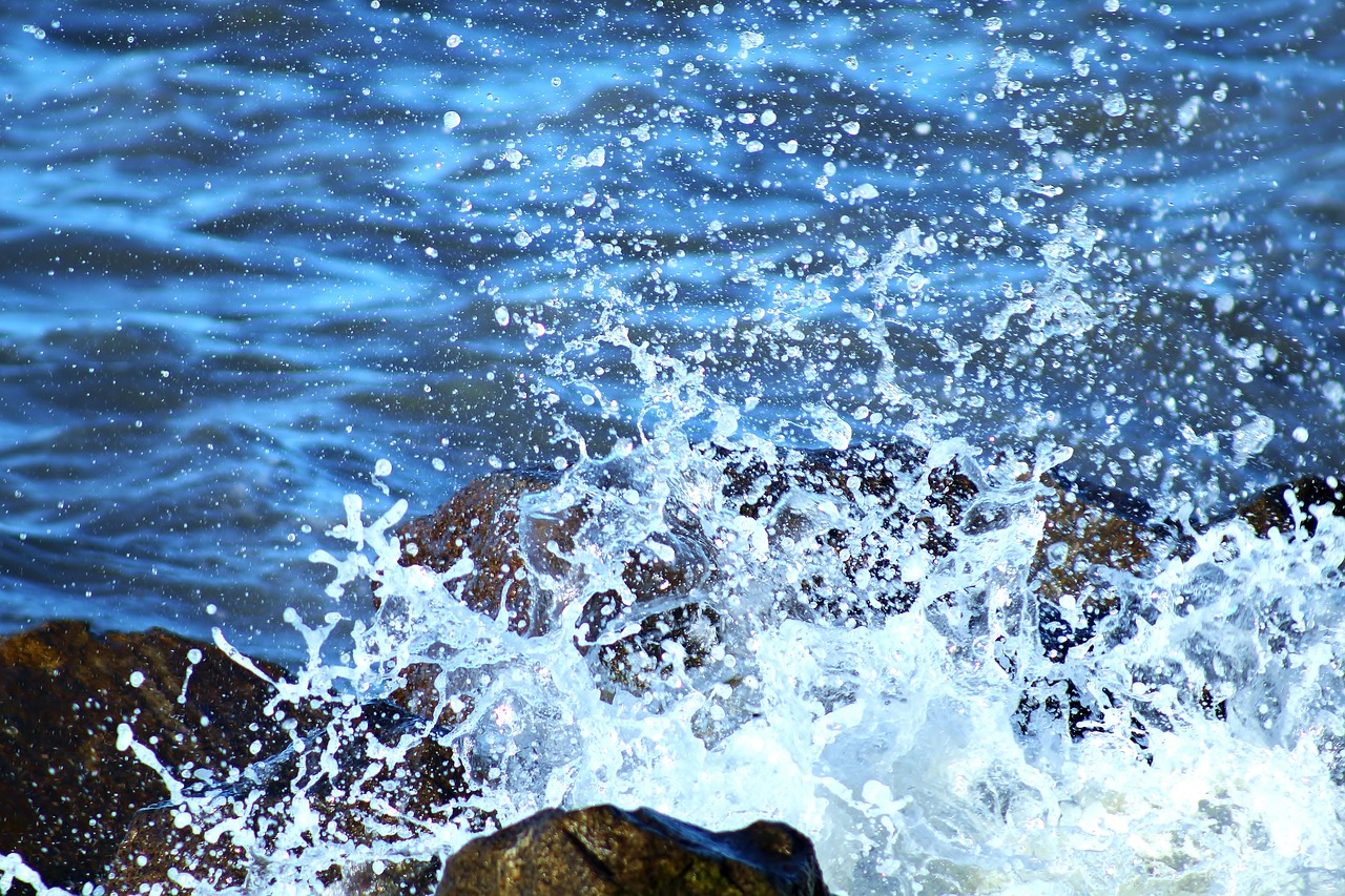 mar  wave  water free photo