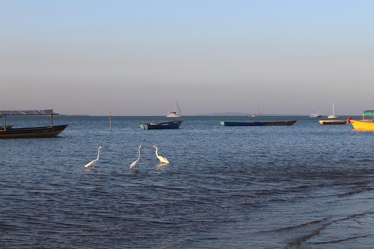 mar  boats  water free photo