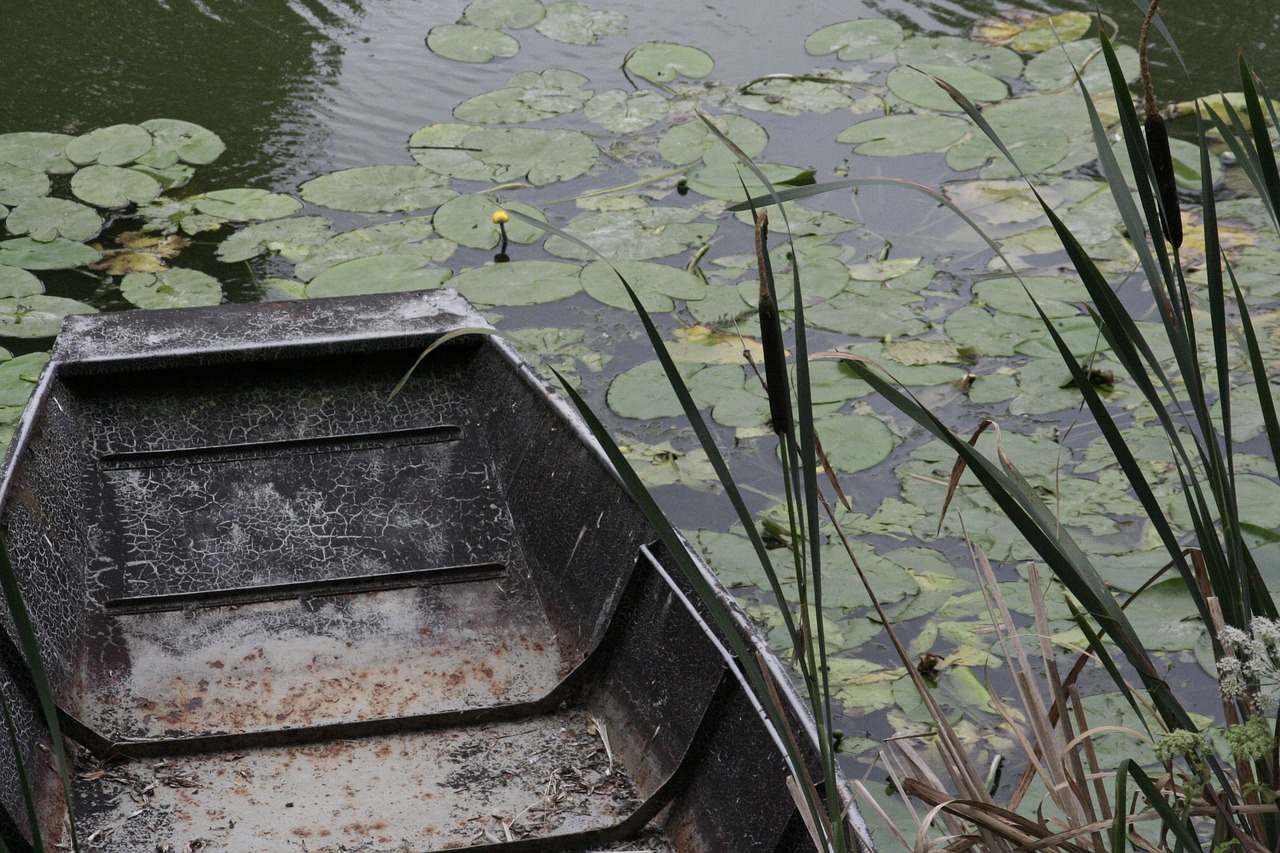 marais poitevin  boat  river free photo