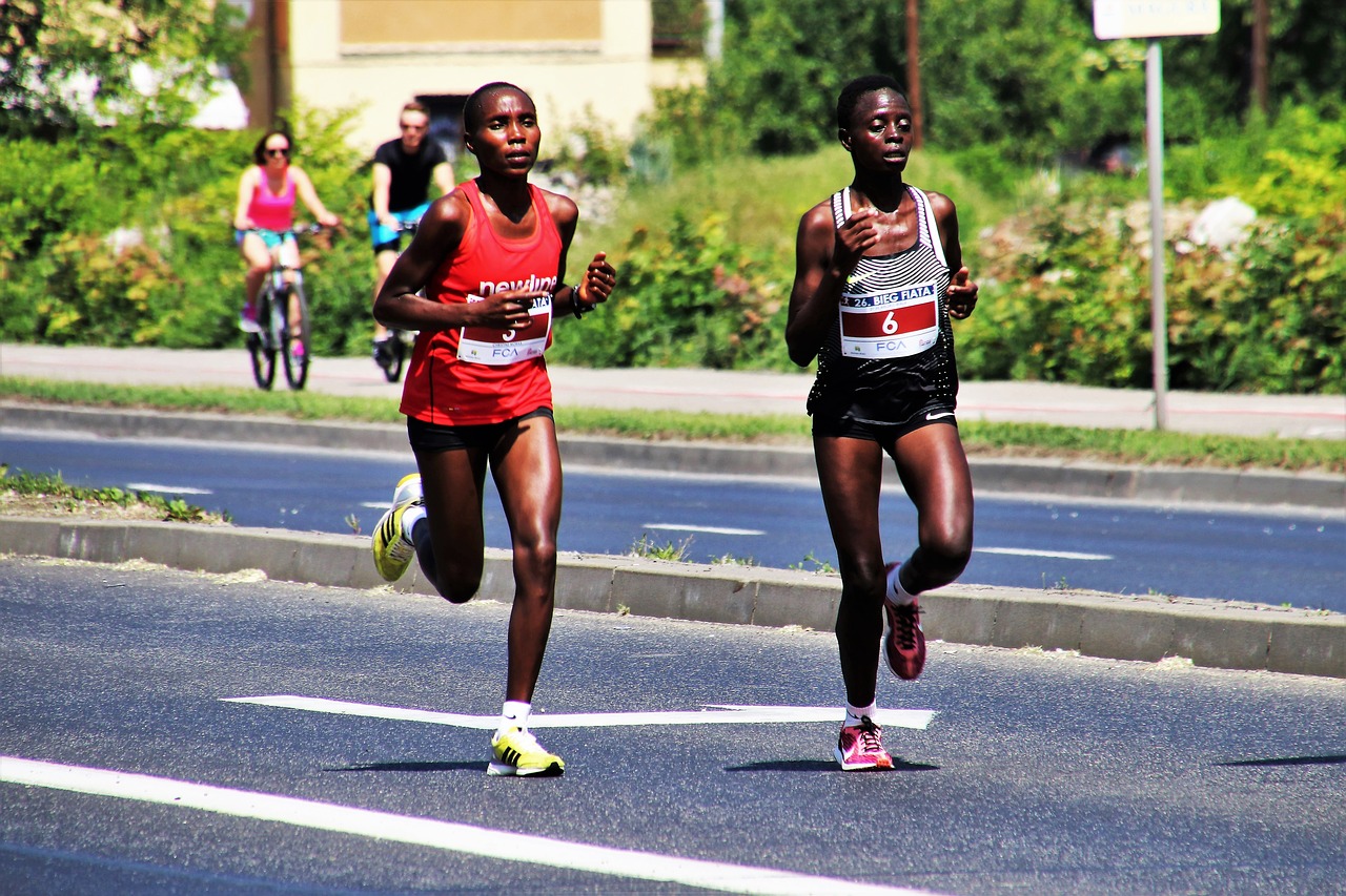 marathon  cross country skier  race free photo