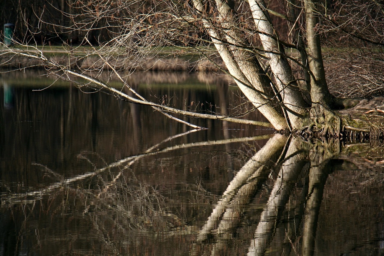 march lake water free photo