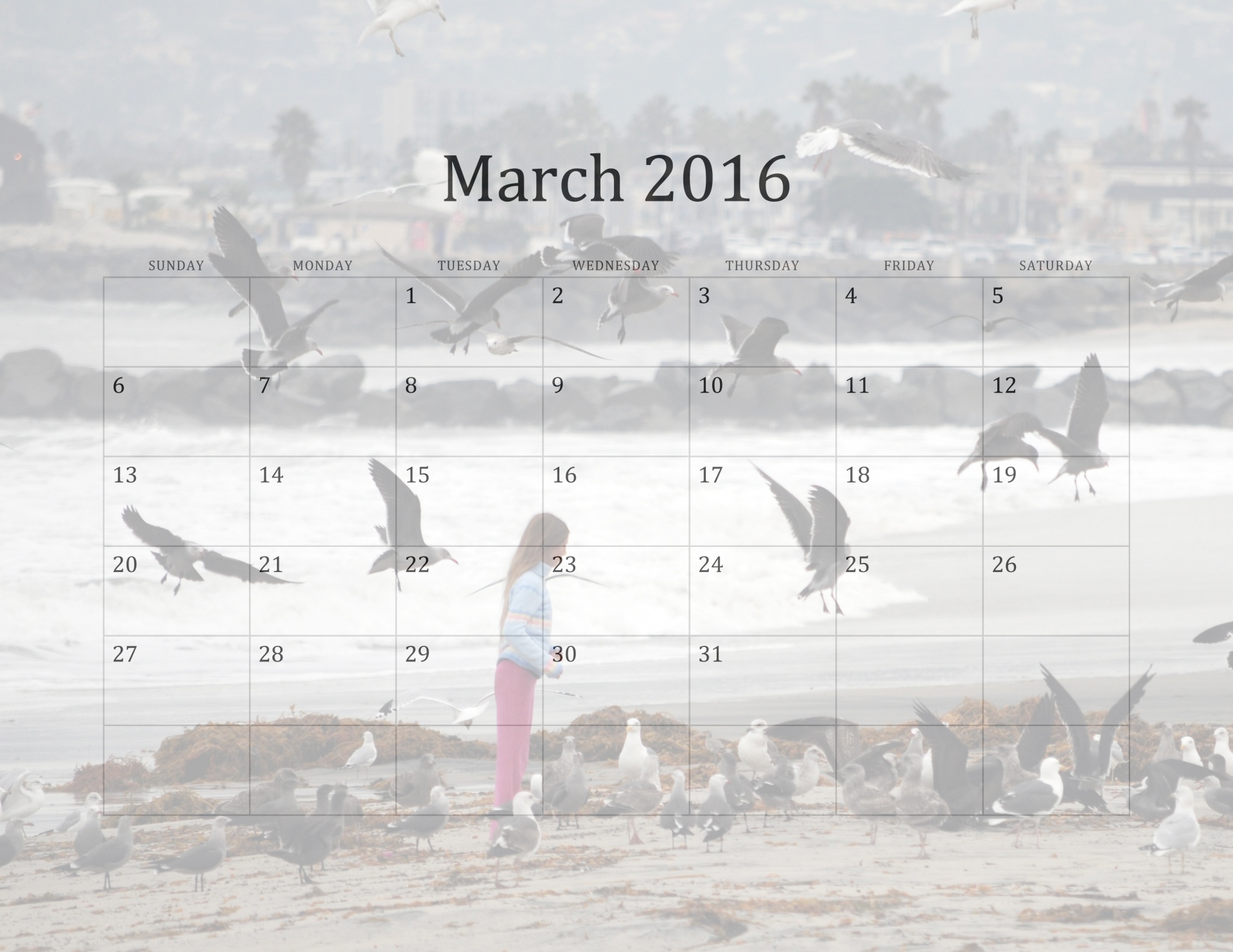 2016 calendar calendars free photo