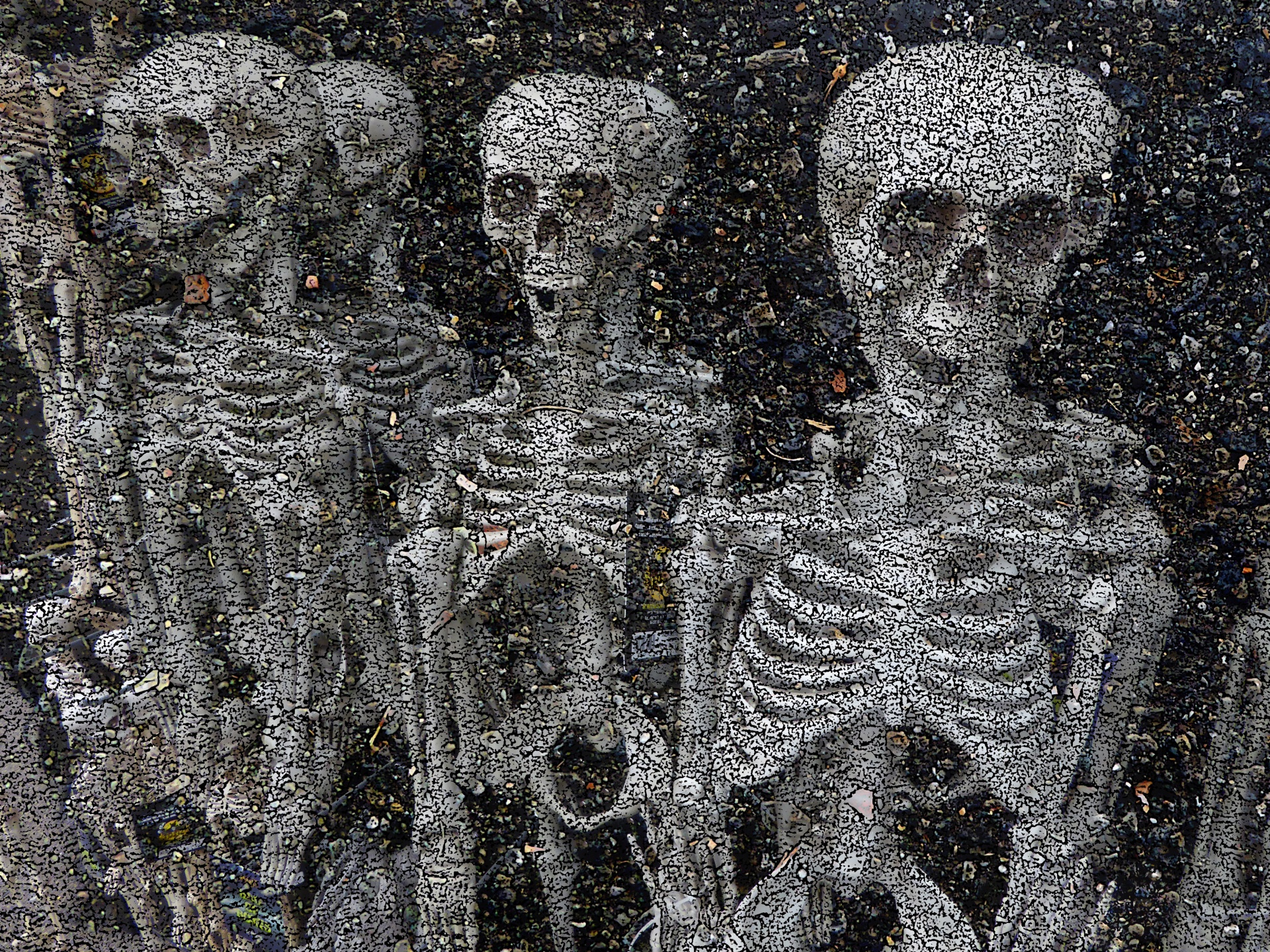 skeleton skeletons row free photo