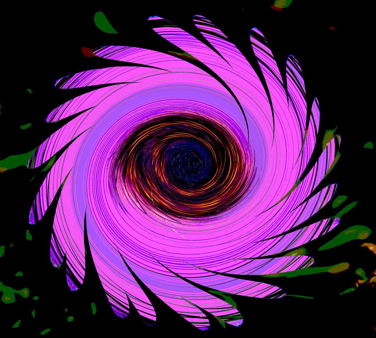 marguerite pink whirlpool free photo