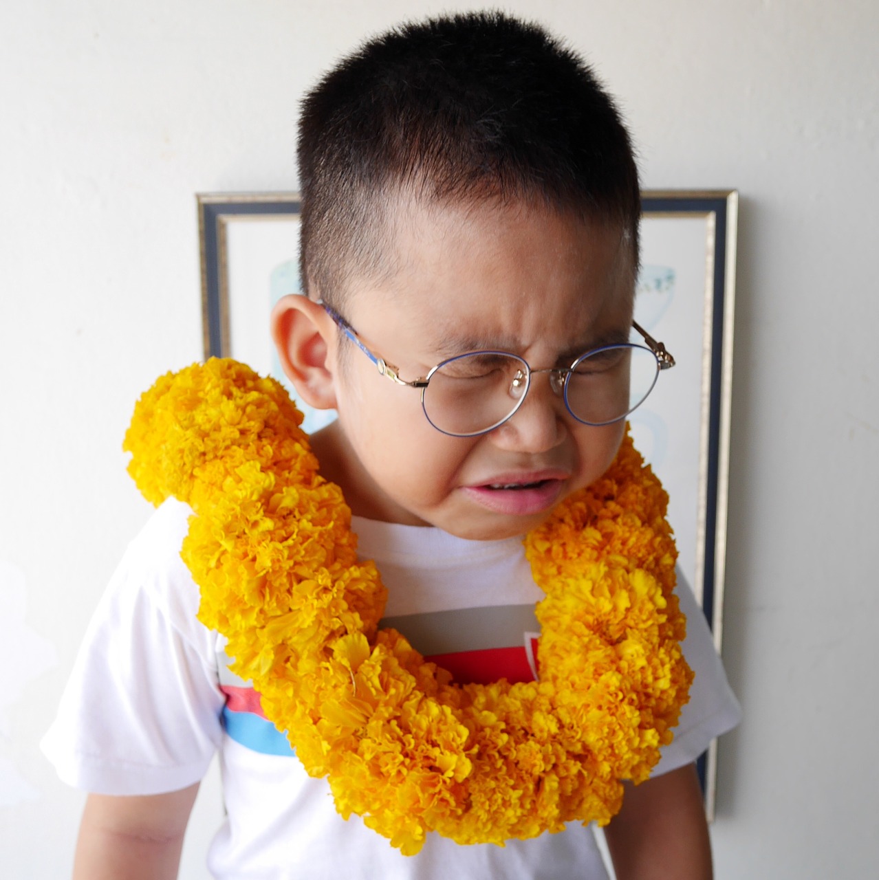 marigold flower coloring pages kids kids glasses free photo