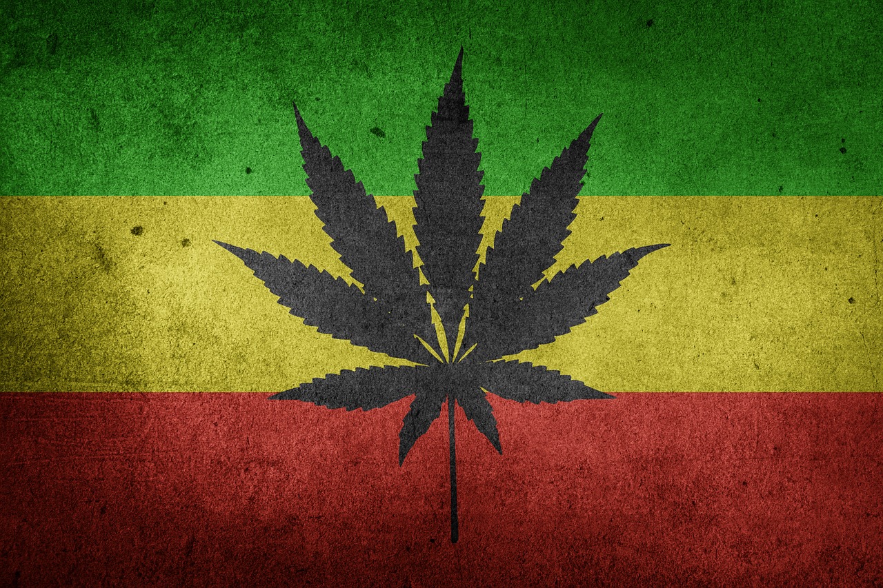 marijuana cannabis weed free photo