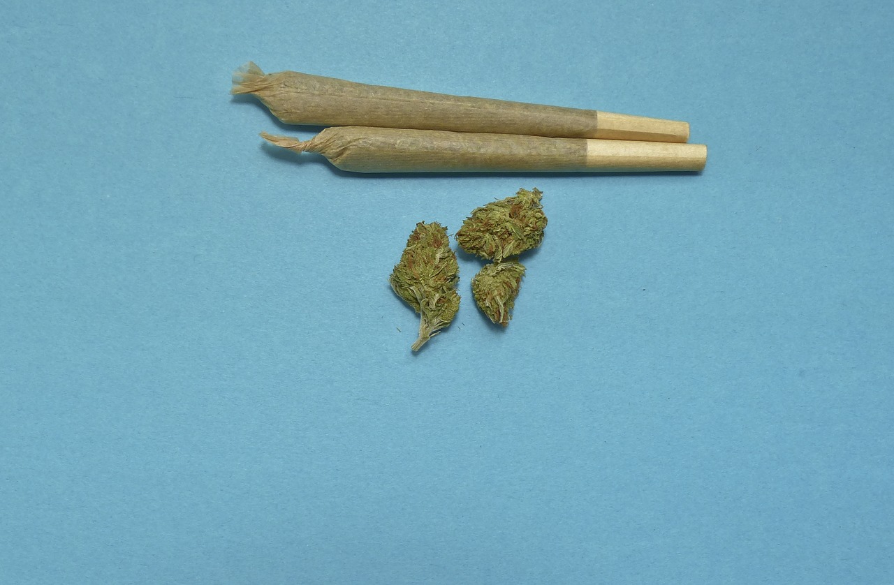 marijuana medical weed free photo