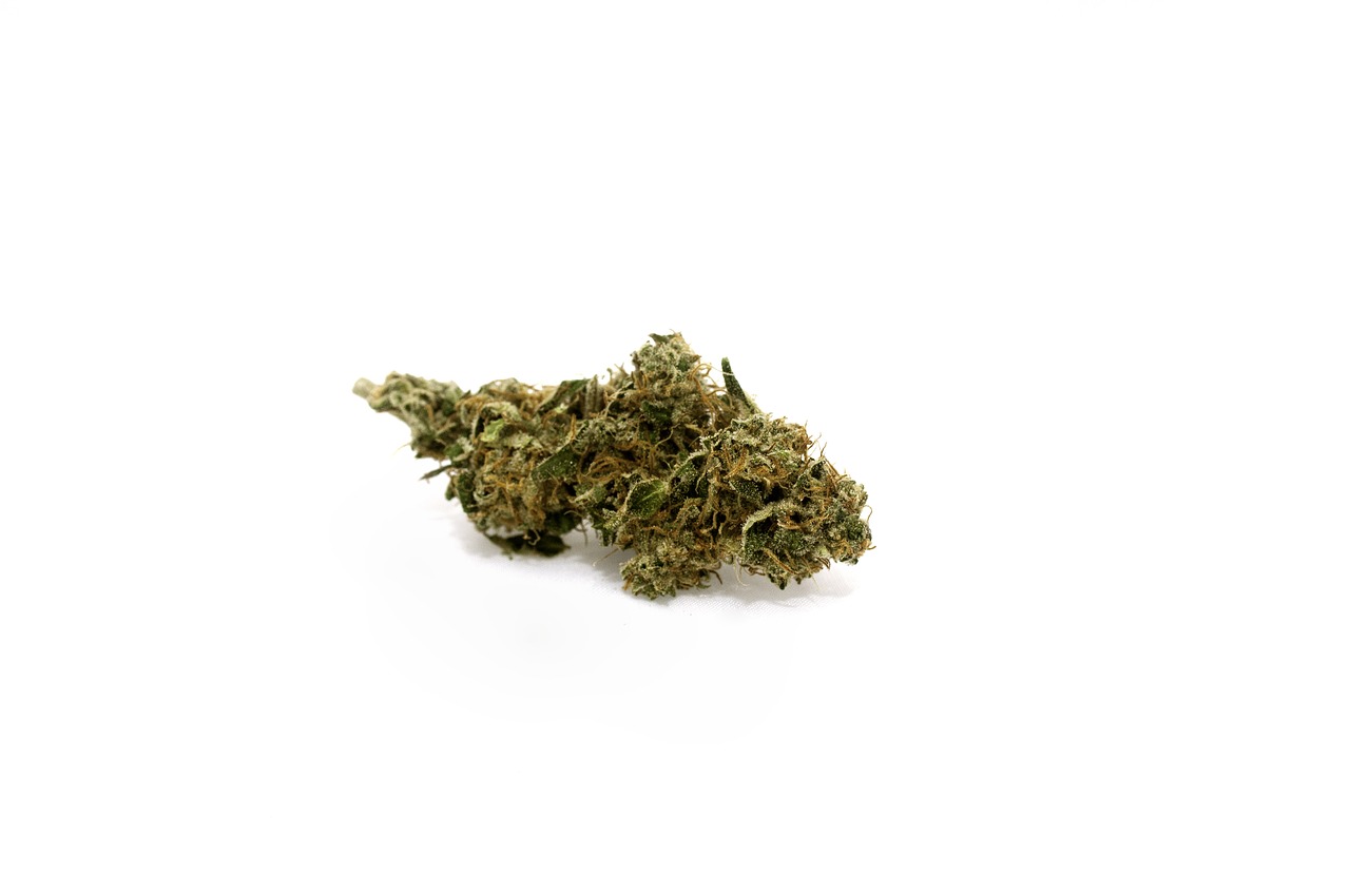 marijuana cannabis bud free photo