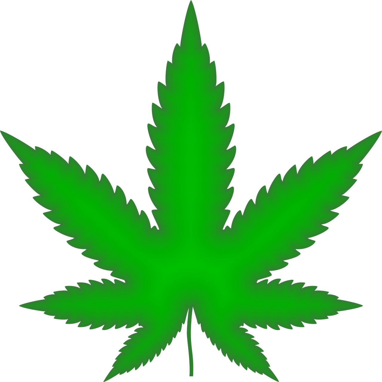 marijuana drugs cannabis free photo