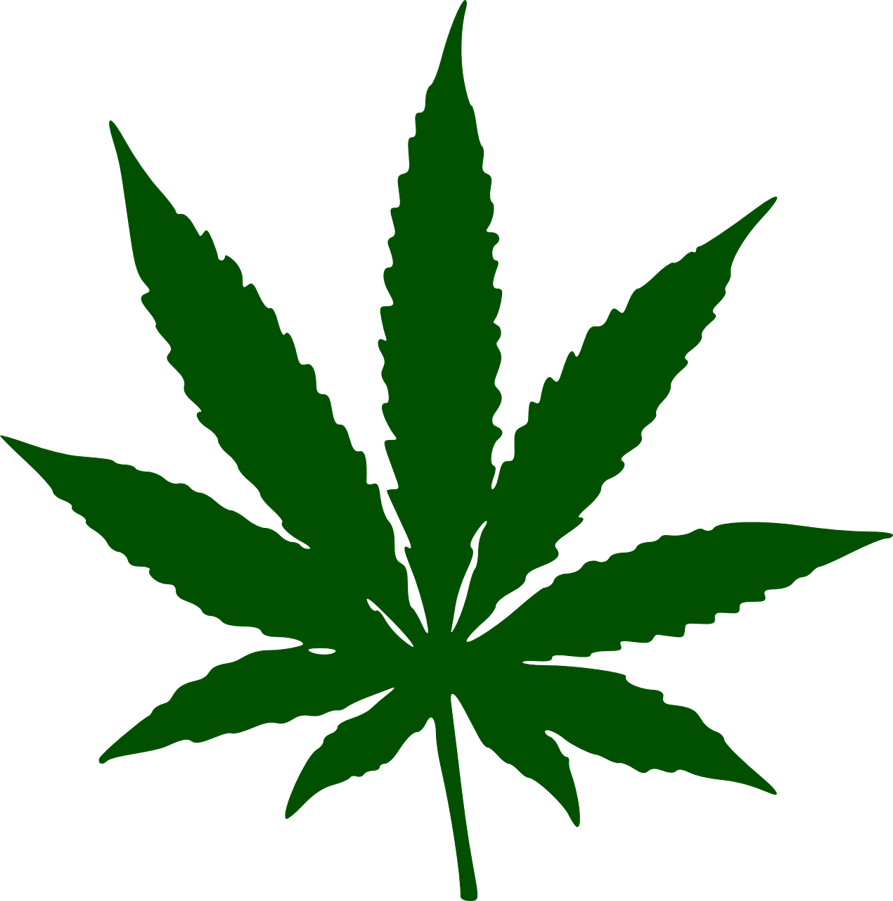 marijuana leaf drug free photo
