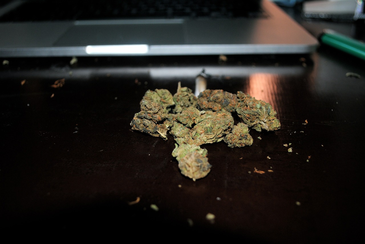 marijuana drugged macbook free photo