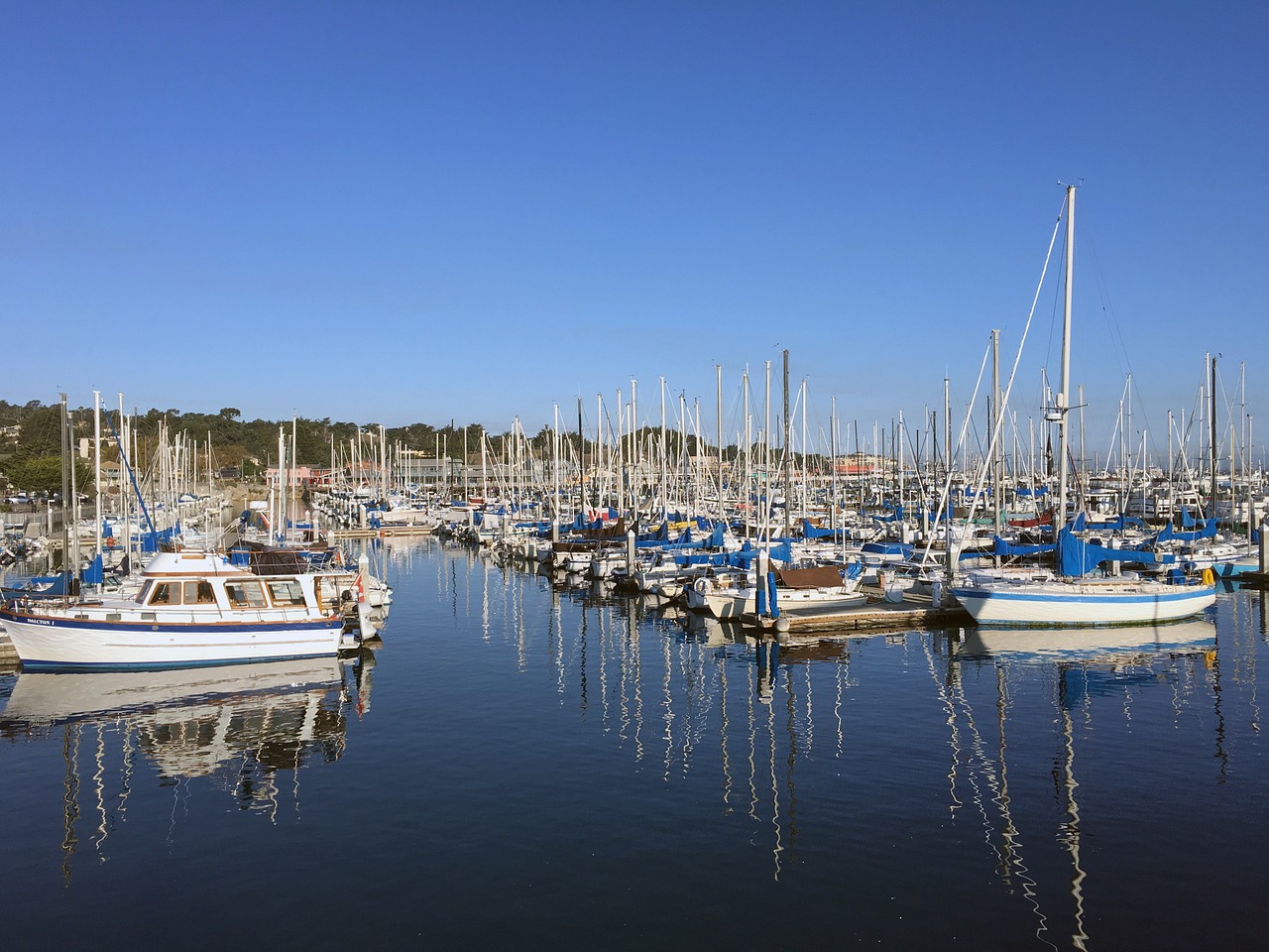 marina boats sailboats free photo