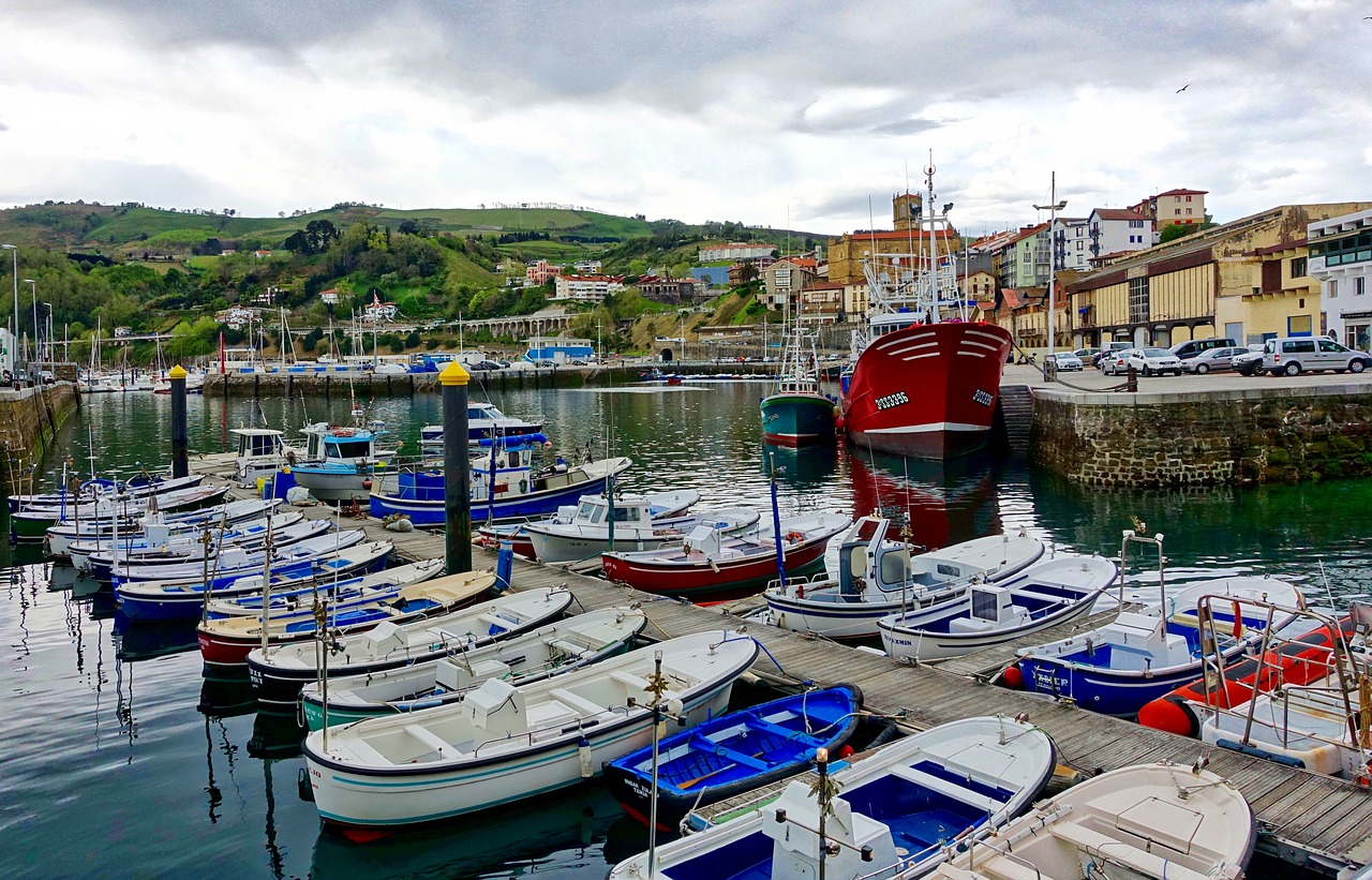 marina boats harbour free photo