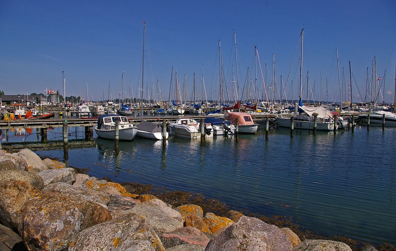 marina sailing ships water free photo