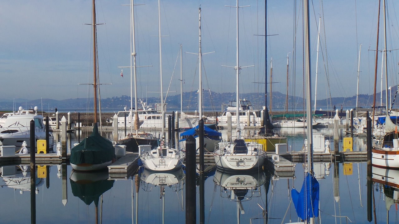 marina sailboats vessels free photo
