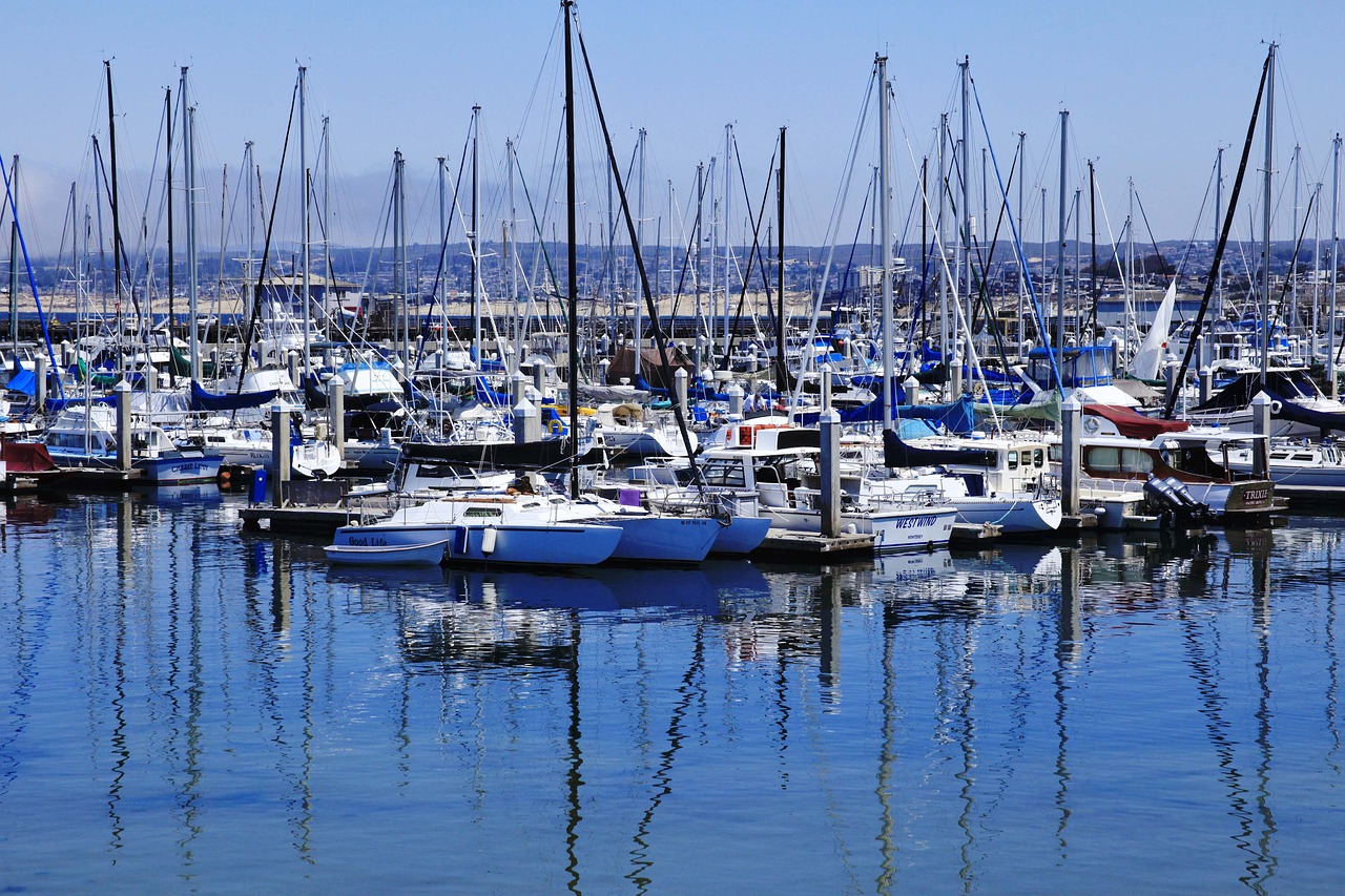 marina boats fishing free photo