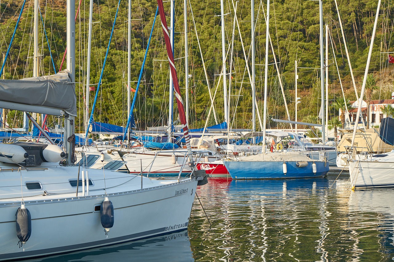 marina  boats  sailboat free photo