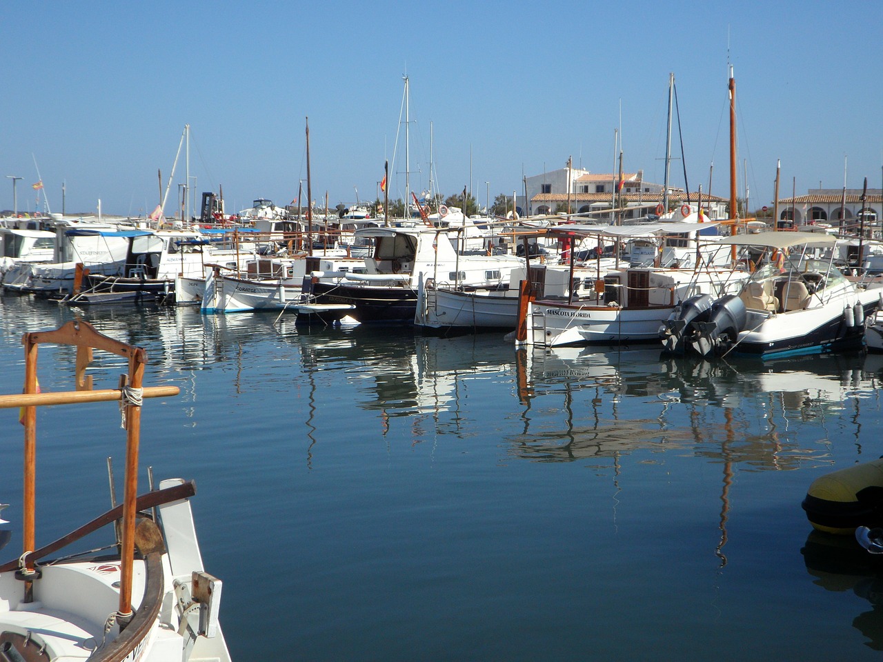 marina port sailing boats free photo