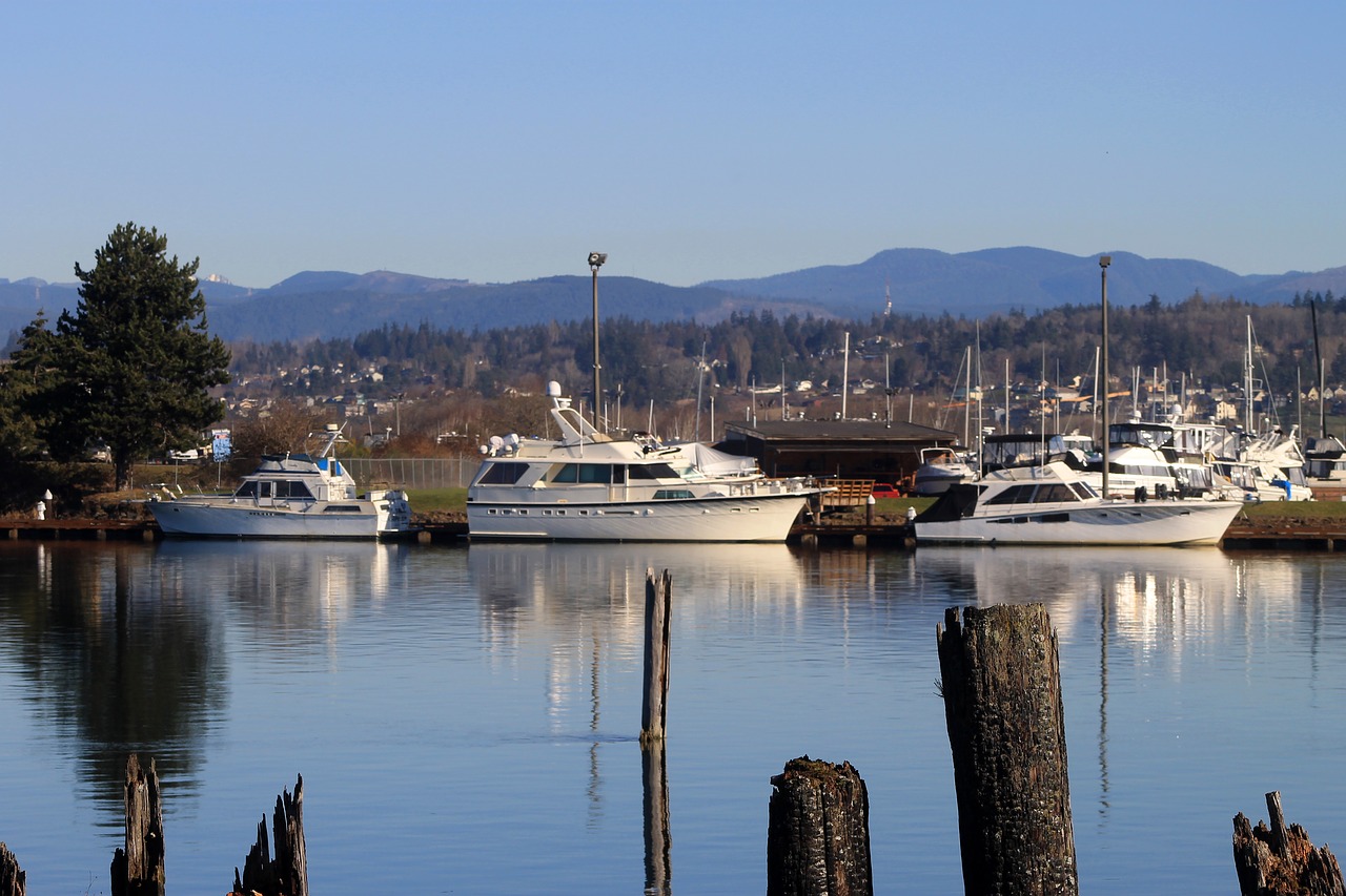 marina  river  boats free photo