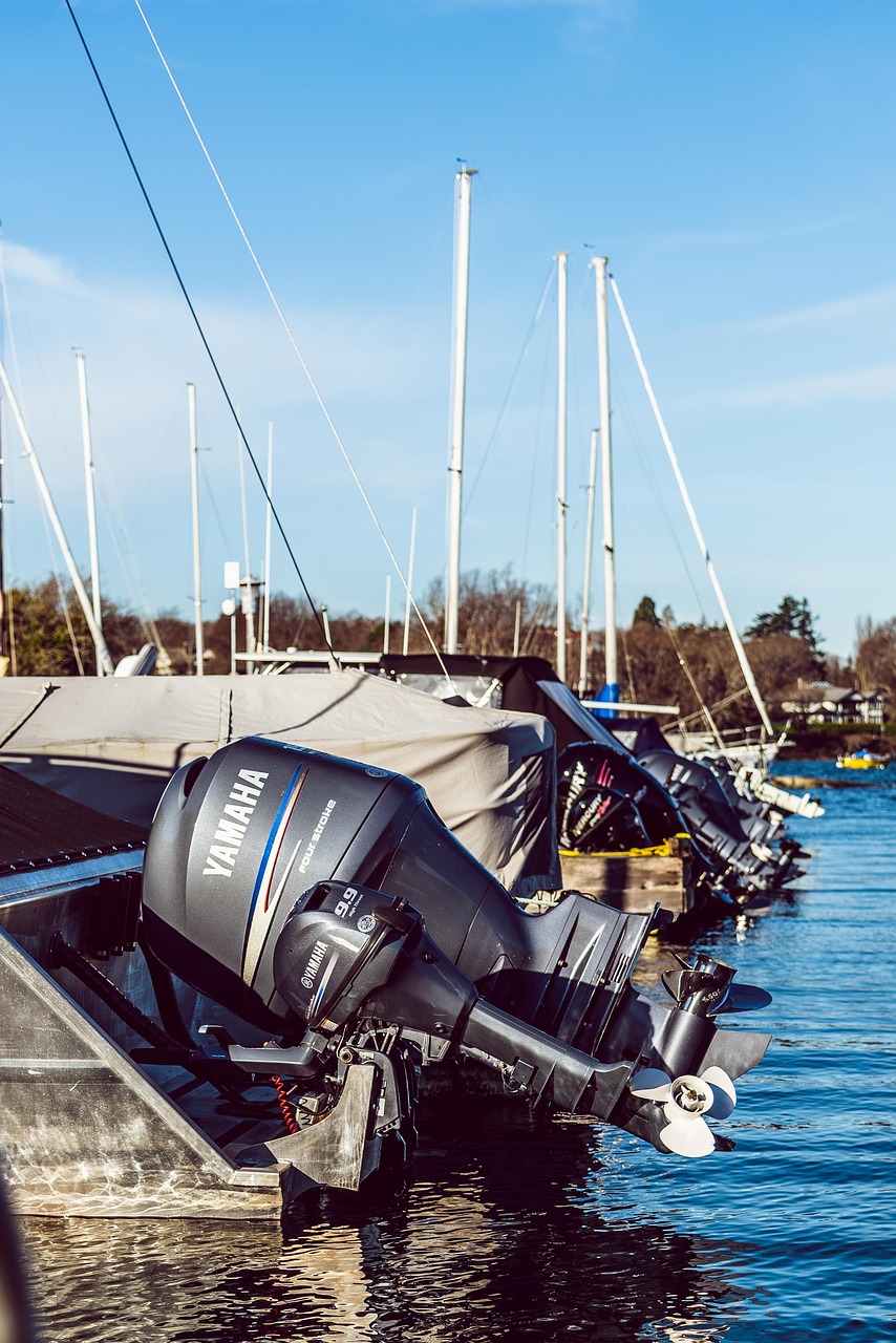 marina  boats  back free photo