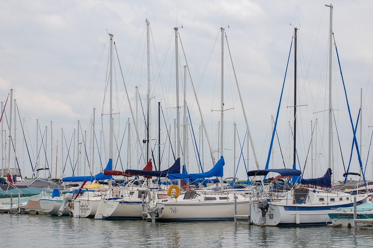 marina  sailboats  sailing free photo