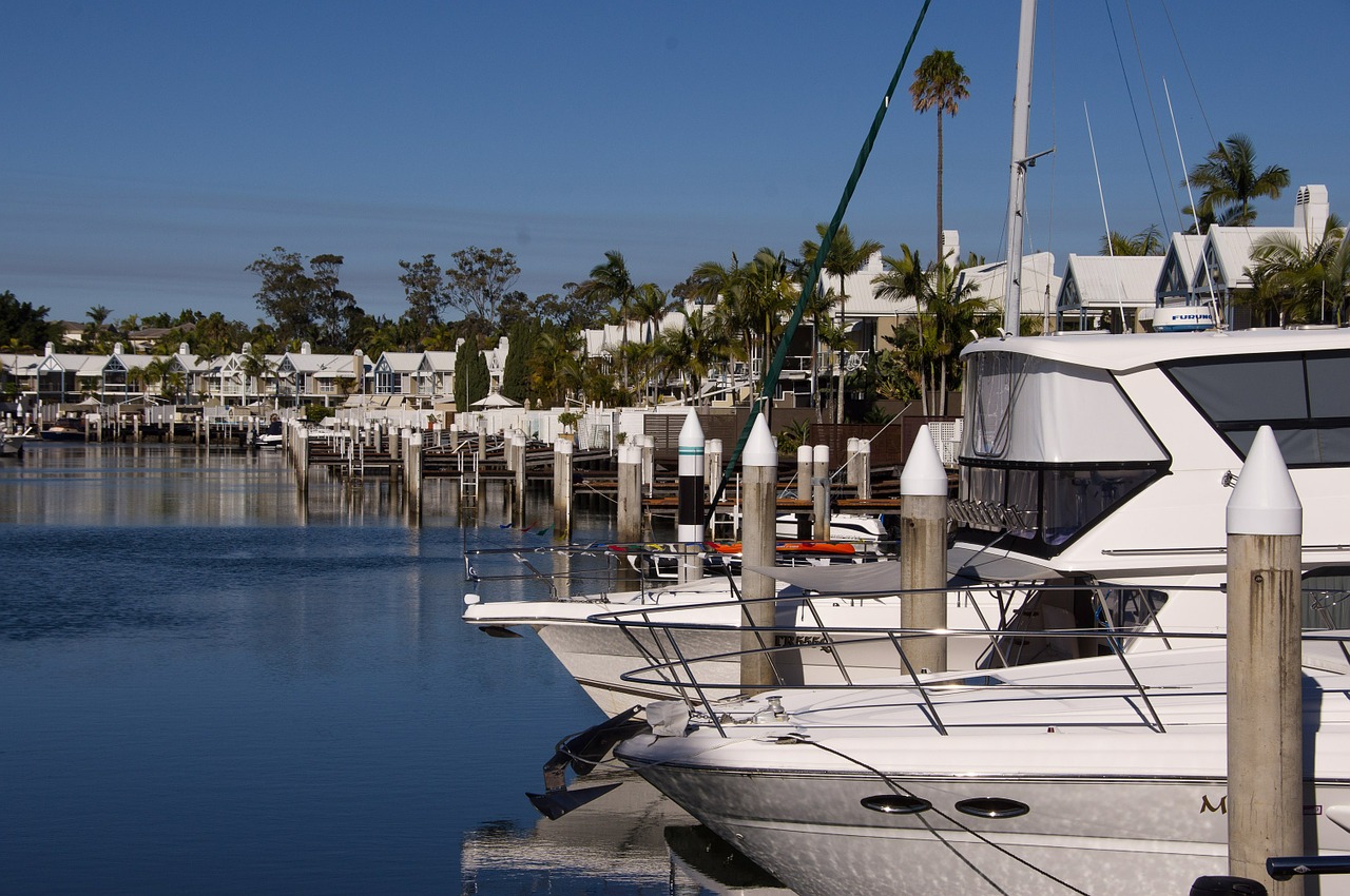 marina harbour boats free photo