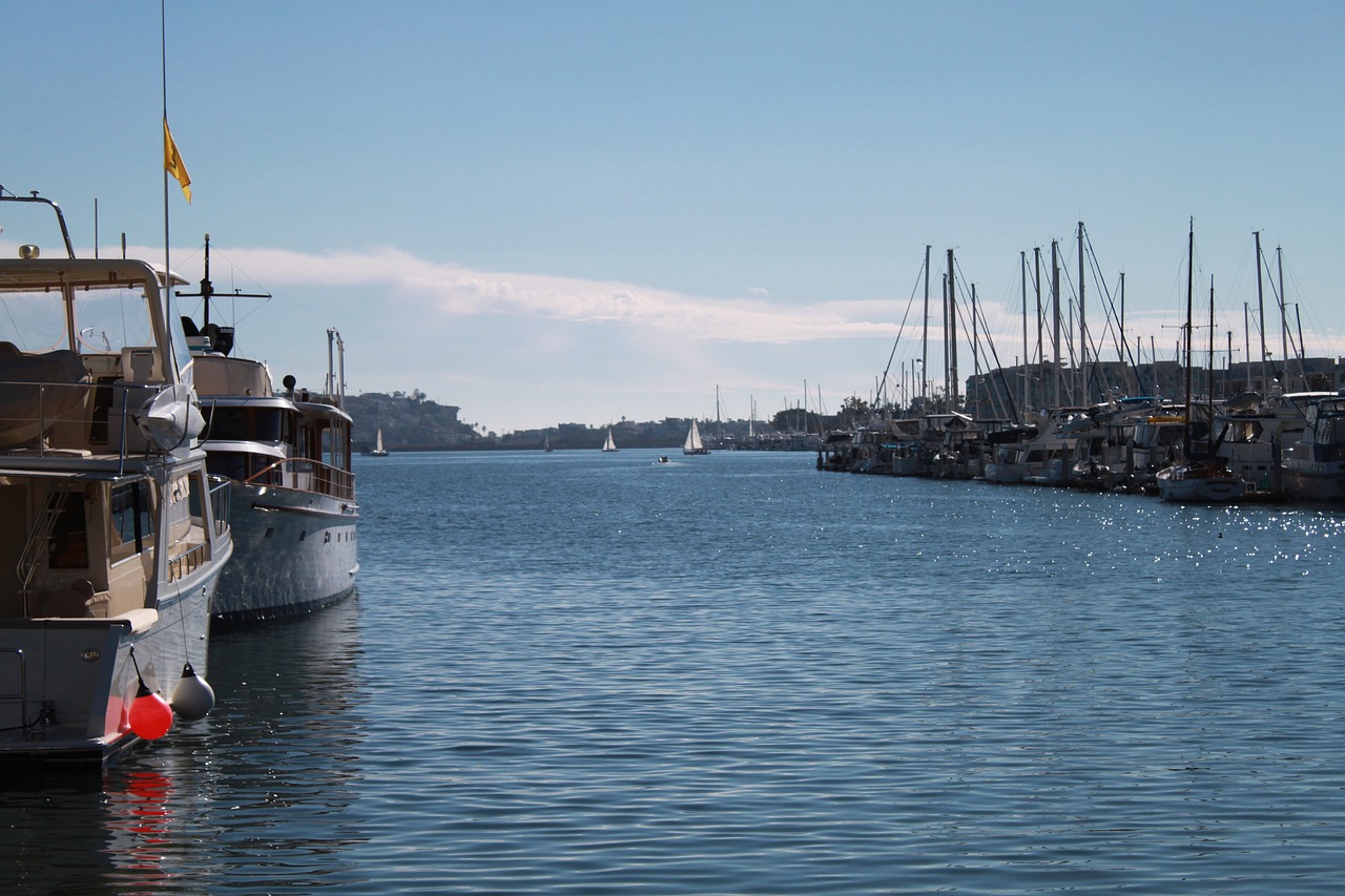 marina boat sailing free photo