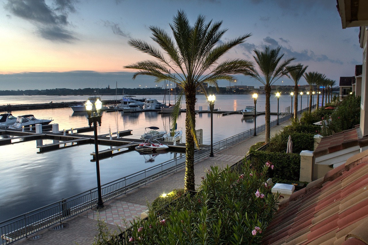 marina boats palm trees free photo