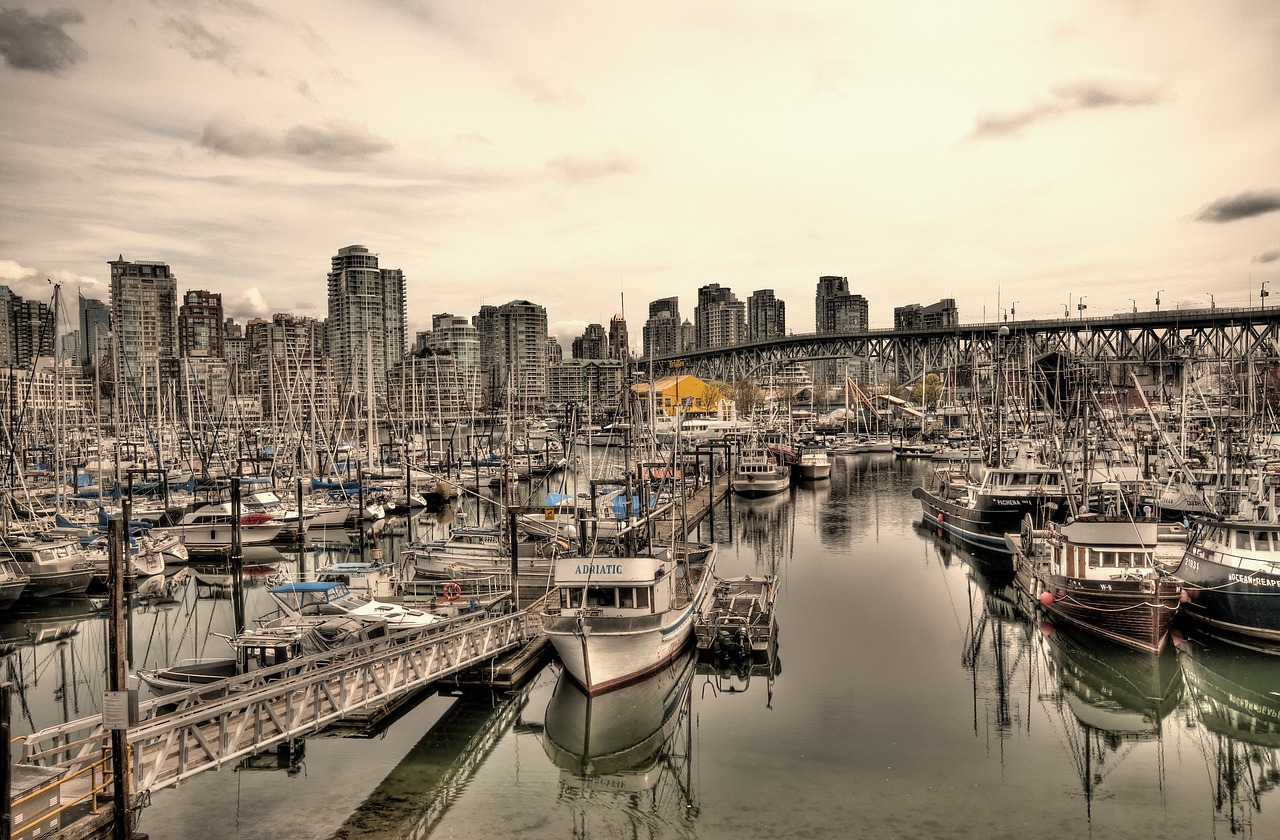 marina boats city free photo