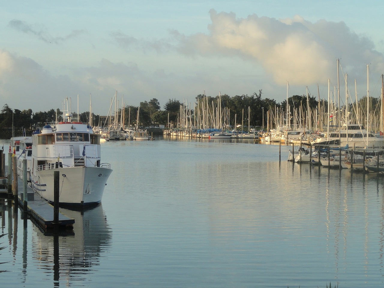 marina sea boats free photo